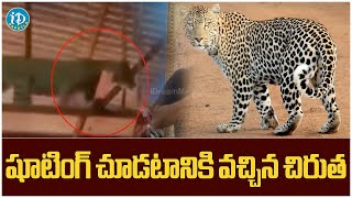 Leopard Spotted at Serial Shooting || షూటింగ్ చూడటానికి వచ్చిన చిరుత || iDream Bapatla