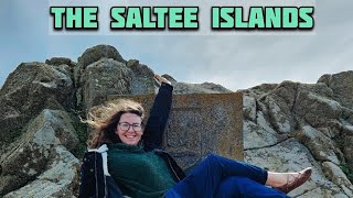 You HAVE to visit the Saltee Islands!