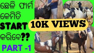 50- ଛେଳି FARM କେମିତି start କରିବେ? କେତେ ଛେଳି, କଉ ଛେଳି ରୁ କରିବେ,କେତେ ଦାନ୍ତ ଛେଳି PART-1 #GanjamBreed