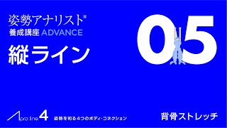 縦ラインエクササイズ05：ゆっくりと背骨をストレッチ