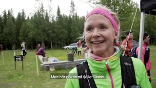 Fjällmaraton Öppet Fjäll 2020