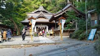 新倉富士浅間神社・象気功