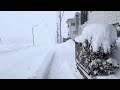 2025年2月8日　大雪⑤