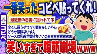 【面白い2chコピペスレ】お前らが1番笑ったコピペを貼ってくれ！腹筋崩壊コピペ集 [ ゆっくり解説 ]