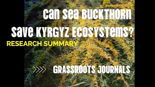 Is Sea Buckthorn Key to Protecting Kyrgyzstan's Endangered Ecosystems?