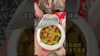 狗狗 意想不到的结局 古德猫宁麻麻回村后的狗  狗熊： 休想打我压岁钱的主意