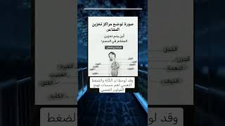 صورة توضح مراكز تخزين المشاعر في الجسم  كمان الكآبة والضغط النفسي اهم مسبب تهيج القولون :علم التشريح