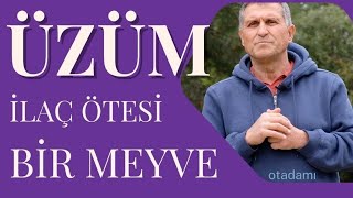 ÜZÜM NEYE İYİ GELİR I KURU \u0026TAZE ÜZÜMÜN FAYDALARI \u0026YARARLARI 🍇