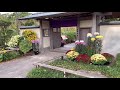 【日本庭園】　紅葉と菊の花がきれいです！！（●＾o＾●）japanese garden.autumn leaves and chrysanthemums are beautiful.