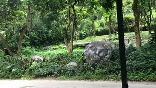 乘车游览区——广州长隆野生动物世界Guangzhou Chimelong Safari Park