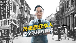 【语言天赋惊人的马来西亚华人故事】 默默地付出，却鲜为人知的一个华人群体