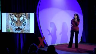 Pausing to access wisdom | Tricia Naddaff | TEDxDirigo