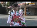 チビっ子演歌歌手　桜まりあ　3歳 七五三