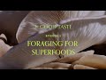 Foraging for Superfoods | In Good Taste Ep 1.