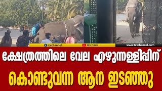 തൃശ്ശൂർ തൃക്കൂര്‍ മതിക്കുന്ന് ക്ഷേത്രത്തിലെ വേല എഴുന്നള്ളിപ്പിന് കൊണ്ടുവന്ന ആന ഇടഞ്ഞു | Malayalam