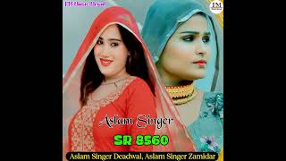 Aslam Singer SR 8560