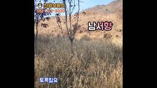 (평당60만) 용문토지, 약 210평, 계획관리, 전, 농막가능, 건축가능한 숲세권토지 #shorts