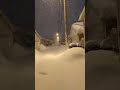 Chicago Snow storm 2-15-2021