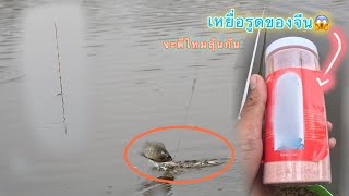 🎣ตกเหยื่อรูดของจีน จะดีไหมลุ้นกันหมานๆ!! #ชิงหลิวหมายธรรมชาติ #ชิงหลิว