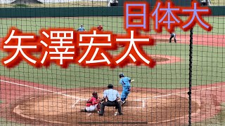 2022年ドラフト1位候補　日本体育大学　矢澤宏太　大学4年春　リーグ戦での打席(対帝京大学戦)