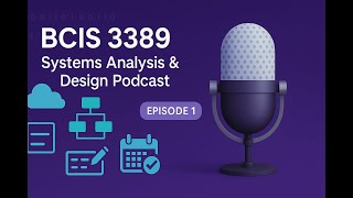 Episode 1 | The Systems Development Environment: SDLC, Agile, and Modern Approaches | BCIS 3389