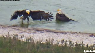 SWFL Eagles ~ M15 & F23 Deepen Their Bond Taking A Bath Together! 💕 Special & Fun Time Shared 3.4.25