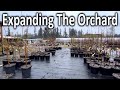 Fruit Orchard Tour Ep. 2 | Buying Fruit Trees for the Orchard