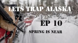 Let's Trap Alaska Ep 10 (Spring Is Near)