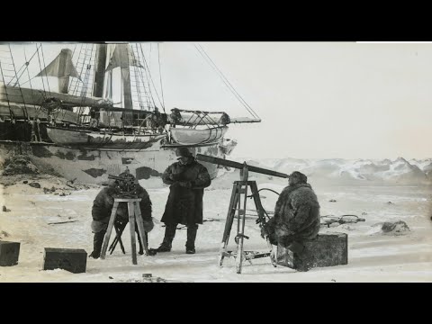 Моряки в Арктике обнаружили остров странных существ