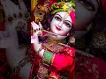 vrindavan ke o bankeybihari ❤️🙏🦚 krishna radhakrishna radheradhe treanding shorts