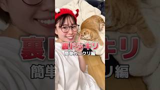 【謝罪】旦那に大好物を振る舞ってみた #shorts