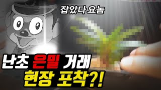 카페에서 수천만원난초 거래 현장 포착, 난초로먹고 삽시다!!