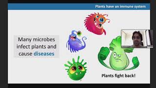 QBio Program: Paulo Teixeira: Microbiota interactions with the plant immune system