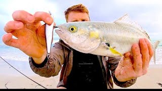 SOLO Catch and Cook - DELICIOUS, Crispy Skin Australian Salmon COOK UP. How to catch and cook Salmon