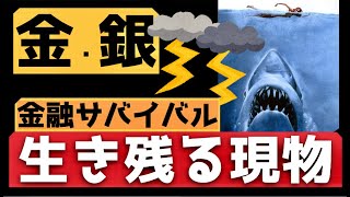 【銀・金を持つ理由】金融サバイバル・生残る現物