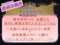 youtubeで学ぶ！④皮膚科学 1a 　「イイとこ取り ネイル筆記問題」 ネイリスト検定無料学習