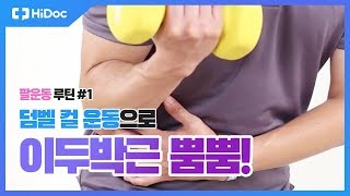 덤벨컬 운동으로 이두박근 뿜뿜! | 팔운동 루틴 #1