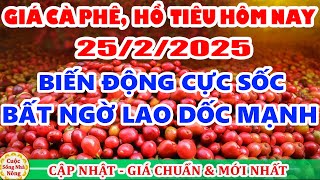 Giá cà phê hôm nay ngày 25/2/2025 | giá cà phê LAO DốC MẠNH theo sàn thế giới