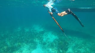 Spearfishing in the Keys | Saltwater Experience