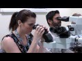 A Career in Histopathology