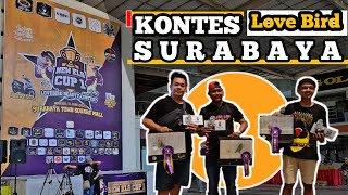 Kontes Love Bird Surabaya || New KLS Cup 1