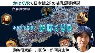 もっとかはくVR ―かはくVRで日本館2Fの哺乳類等について学ぼう！（動物研究部・川田伸一郎）