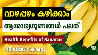 വാഴപ്പഴത്തിന്റെ ഗുണങ്ങൾ പരിചയപ്പെടാം ദിവസേന കഴിച്ചാൽ പലതുണ്ട് നേട്ടം.Health benefits of banana 4K