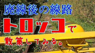 廃線後の実際の線路をトロッコで行く