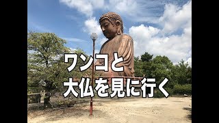 ワンコと聚楽園の大仏を見に行く