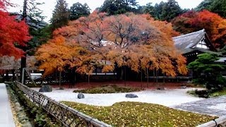 雷山千如寺