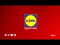 lidl lidl lidl nižší ceny každý den 🛒 lidl Česká republika