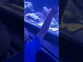 😱Cute Girls Having Fun At Aquarium #shorts #subscribe #trending #viralshort #viral