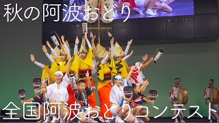 【秋の阿波おどり】全国阿波おどりコンテストまとめ Awaodori in Tokushima Japan