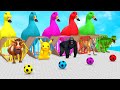 5 Giant Duck Cartoon,Cow,Elephant,Tiger,Lion,Dinosaur,Paint Wild Animals Crossing Fountain Animation